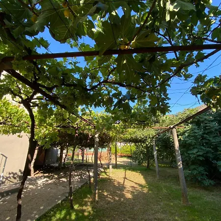 Apartaman Dragana Apartment
